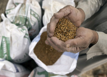 Oxfam wirft G7-Staaten Versagen im Kampf gegen Hungerkrise vor