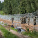 Polen stellt Zaun an Grenze zu Weißrussland fertig
