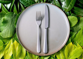 Russischer Botschafter in Washington: US-Sanktionen beeinträchtigen globale Ernährungssicherheit