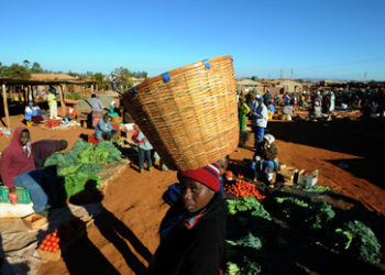 Simbabwe bittet Russland um Lieferungen von Weizen und Erdöl