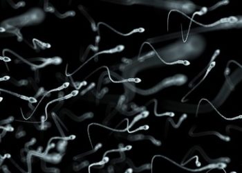 Studie: BioNTech/Pfizer-Impfung verringert Spermienkonzentration bei Männern