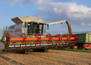 UNO warnt vor globaler "Katastrophe" im Lebensmittelbereich