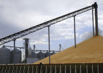 Vereinigte Arabische Emirate verbieten Exporte von aus Indien importiertem Weizen