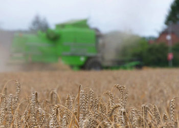 Verminte Schwarzmeerhäfen verhindern ukrainischen Getreideexport