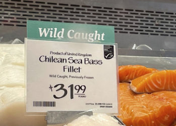 Washington und London droht Streit um Ansprüche in der Antarktis