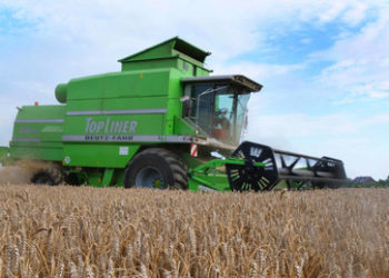 "Fehler solcher Länder wie der USA": Über die Ursachen der weltweiten Nahrungsmittelkrise