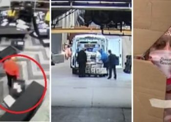 „Beweise, die sie ignorieren wollen“ – Trump Spox Liz Harrington veröffentlicht während des staatlichen Schauprozesses am 6. Januar eine Flut unbequemer Wahrheiten