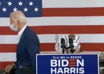 Breaking: Langlade County Wisconsin schließt sich Texas und Maricopa County Arizona an, um die Ergebnisse der Wahlen 2020 einstimmig abzulehnen