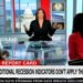 „Das kannst du nicht vortäuschen!“  – CNN-Gremium kritisiert Biden-Regime wegen Lügens über die Definition einer Rezession (VIDEO)