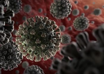 Auf geht’s: Die neue „Ninja“-COVID-Variante ist „die bisher gefährlichste“