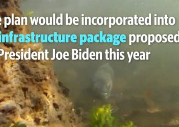 Biden könnte Lachs den Amerikanern vorziehen, was die Stromversorgung im pazifischen Nordwesten gefährden wird