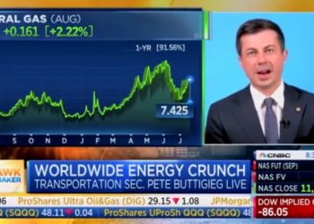 Buttigieg sagt, er sei „erstaunt“, dass die Menschen „wirklich Schwierigkeiten haben, ihre gasbetriebenen Fahrzeuge zugunsten von 65.000-Dollar-Elektrofahrzeugen loszulassen“ (VIDEO)