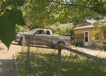 HORROR: Ein 4-jähriges Mädchen stirbt, nachdem es von 3 Pitbulls im Haus in Dallas zerfleischt wurde, während der Besitzer es beobachtete