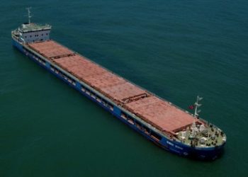 Kiew bestellt türkischen Botschafter ein – Türkei lässt russischen Frachter mit Getreide frei