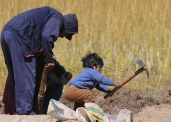 Peru bittet UNO um Hilfe im Kampf gegen Nahrungsmittelkrise