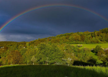 Posse um genehmigte und ungenehmigte Regenbogenflaggen – Bundesministerien im Streit