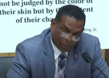 Rep. Burgess Owens knallt die übriggebliebenen rassistischen Angriffe auf schwarze Konservative (VIDEO)