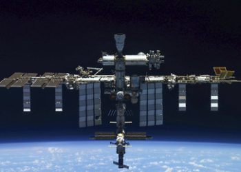 Stammzellen im All - Wissenschaftler nutzen Schwerelosigkeit zur Forschung