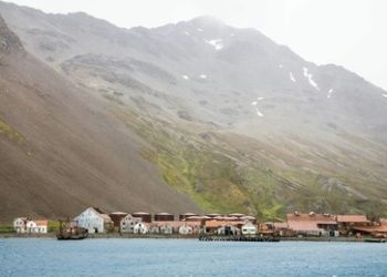 Streit um die Malvinas / Falklandinseln: London erklärt Inseln im Südatlantik zum Naturschutzgebiet