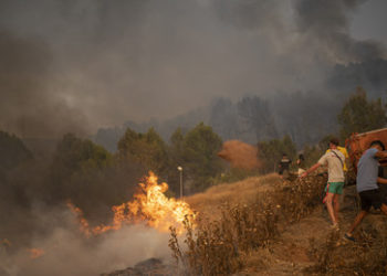 Tausende Tote durch Hitze in Südeuropa - Ärzte fordern Hitzeschutzplan für Deutschland