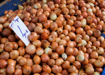 Türkische Exporte nach Russland steigen rasant an