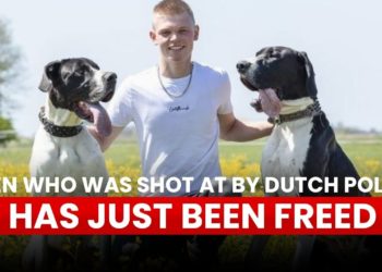 Update zum holländischen Bauernprotest: 16-jähriger Jouke befreit;  Dokument enthüllt Pläne der Regierung, landwirtschaftliche Betriebe für Asylsuchende zu beschlagnahmen