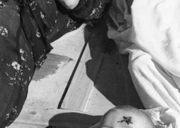 Versöhnung ohne Unrechtsbewusstsein? Polen macht seinen Frieden mit der Bandera-Ukraine