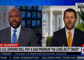 „Dies ist die Zukunft der liberalen Weltordnung und wir müssen standhaft bleiben“ – Biden-Berater auf die Frage, was er Amerikanern sagen würde, die sich hohe Gaspreise nicht leisten können (VIDEO)