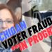 HIER GEHEN WIR WIEDER: Michigan RINOS Versand der Stimmzettel zur Auszählung durch liberale Städte