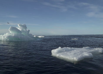 USA ernennen Botschafter-at-Large für die Arktis