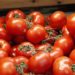 Blasen bis zur Größe einer Tomate – Hochansteckendes Virus grassiert unter Kindern in Indien