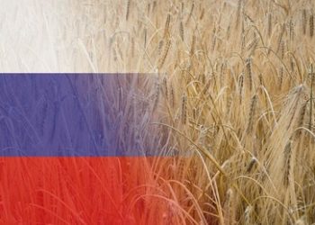 Corriere della Sera: Russlands landwirtschaftliche Entwicklung ist Putins heimlicher Triumph