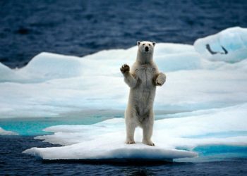 Demokraten im US-Senat beschließen einseitig 369-Dollar-Klimaexplosion – Studie findet, dass 96 % der Daten, die zur Unterstützung des Demokratengesetzes verwendet werden, fehlerhaft sind