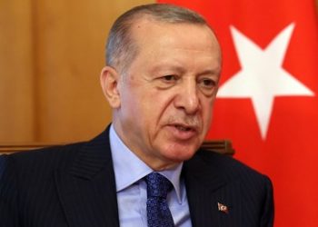 Erdoğan will mit Putin über Schicksal des AKW Saporoschje sprechen