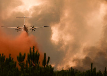Französischer Innenminister: Waldbrände an Atlantikküste könnten Brandstiftung sein