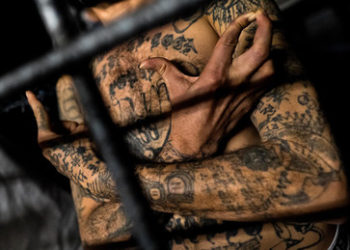 Kampf gegen Banden-Kriminalität in El Salvador – Polizei gelingt Festnahme von Anführer