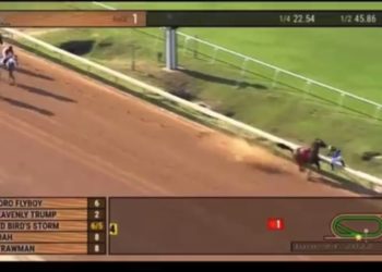 Kann das nicht erfinden!  Pferd namens Heavenly Trump gewinnt, nachdem das Leitpferd auf die Reling trifft und der Jockey von der Reling auf die Strecke springt (VIDEO)