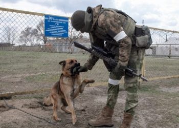 Kreml garantiert Sicherheit der IAEA-Experten im AKW Saporoschje
