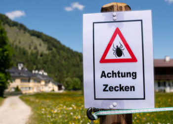 Pfizer und Valneva wollen Kandidatenimpfstoff gegen Lyme-Borreliose an 6.000 Freiwilligen testen