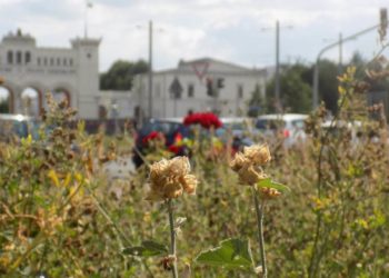 Provinzpossen, Folge 3: Leipzig kann sich Rosen nicht mehr leisten