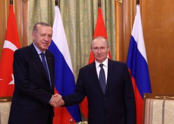 Putin zu Erdoğan: "Europa muss der Türkei für stabile Gaslieferung dankbar sein"