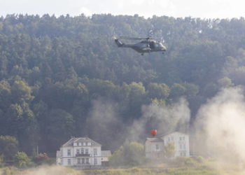 Strafanzeige gegen Grünen-Politiker für den Vorschlag: "Sachsen kontrolliert abbrennen lassen"