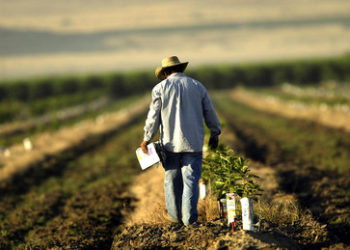 Zu hohe Gaspreise: Polens Düngemittelhersteller stoppen Produktion