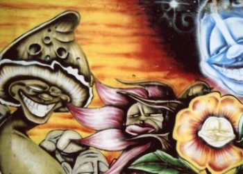 "Magic Mushrooms" – Psychedelische Pilze können gegen Alkoholismus helfen