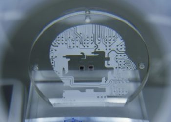 "Von bürgerlicher Demokratie zu digitalem Faschismus": Autor Mülln über die neue Sklavengesellschaft