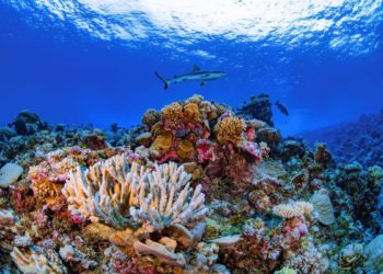 Laut Bericht sollten die USA ihre Beziehungen zum Westpazifik verstärken, um Pekings Expansionismus abzuwehren