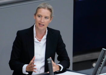 AfD-Chefin Weidel im Bundestag: Diese Regierung ruiniert das Land