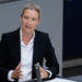 AfD-Chefin Weidel im Bundestag: Diese Regierung ruiniert das Land