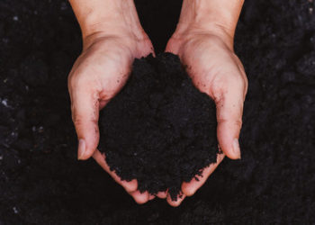 Eigenkompostierung: Kalifornien legalisiert umstrittene Bestattungsmethode