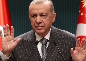 Erdoğan stellt Strafanzeige gegen Kubicki wegen Beleidigung
